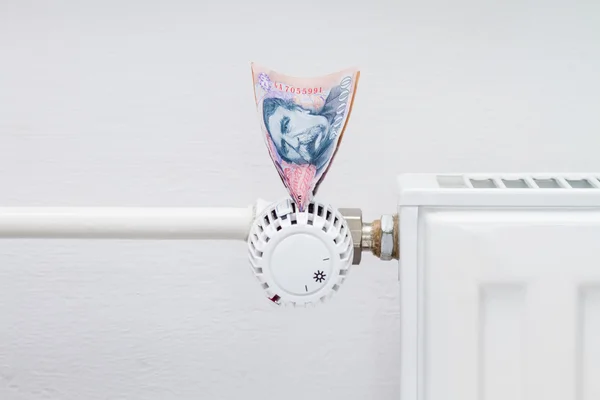 Thermostat mit Geld heizen — Stockfoto