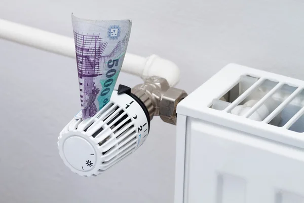 Fűtés-termosztát, pénz — Stock Fotó
