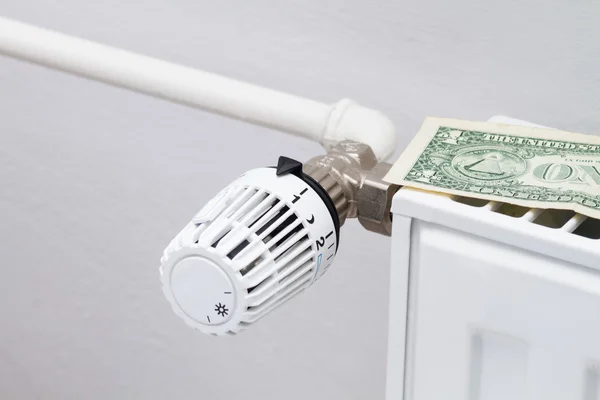 Para (1 dolar ile Isıtma termostatı) — Stok fotoğraf