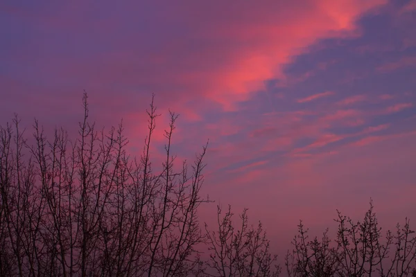 Pink cloudy sky — Stock Photo, Image