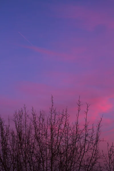 핑크 흐린 하늘 — 스톡 사진