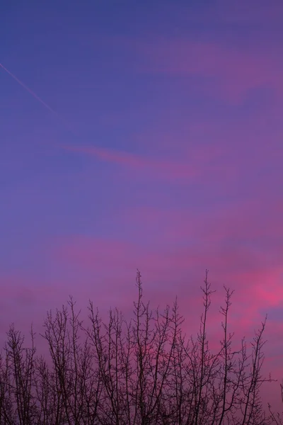 Růžové zamračená obloha — Stock fotografie