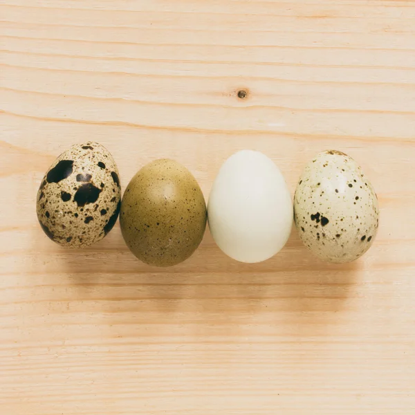 Fürj tojás - felülnézet — Stock Fotó