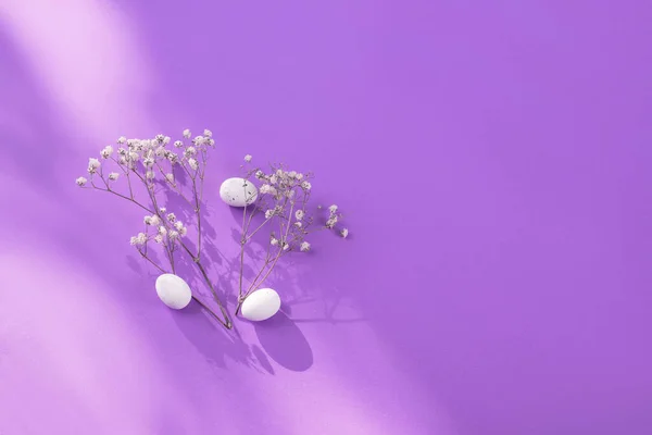 Eier Und Blumen Der Trendfarbe Flieder Mit Platz Für Text — Stockfoto