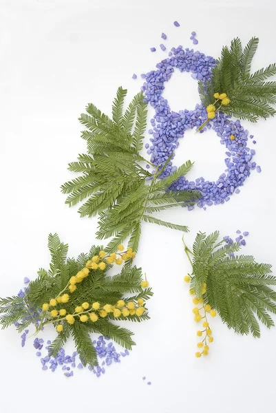 Nemzetközi női nap mimóza-virághoz — Stock Fotó