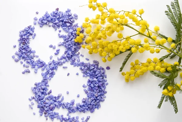 Internationale vrouwen dag mimosa bloem — Stockfoto