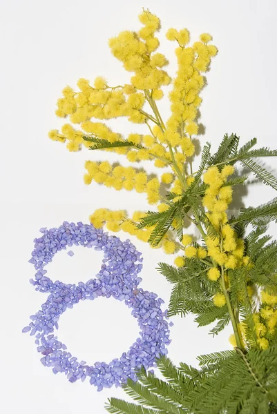 Internationella kvinnodagen dag mimosa blomma Stockbild