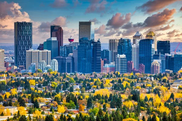 Skyline Centre Ville Calgary Pendant Automne — Photo
