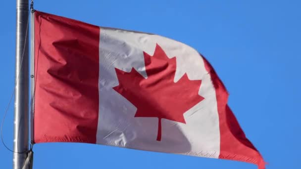 飘扬的加拿大国旗 蓝蓝的天空和云彩 — 图库视频影像