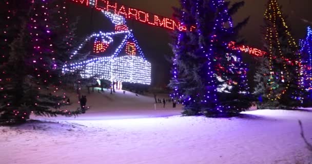 Calgary Alberta Kanada 2021 December Fényképezőgép Panning Lions Festival Lights — Stock videók