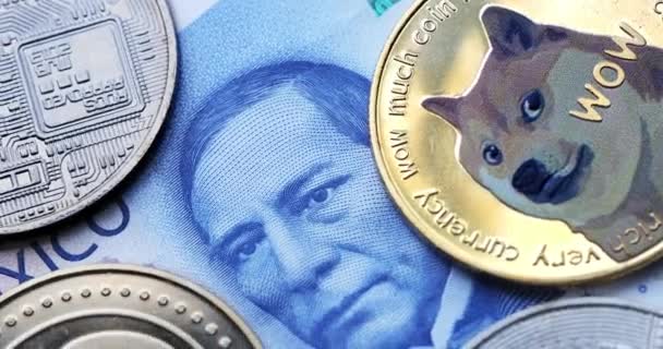 Calgary Alberta Canada Jan 2022 Mexican Currency Dogecoin — стоковое видео