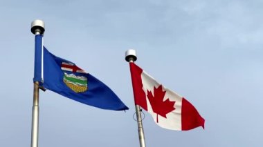 Rüzgarlı bir günde Kanada bayrağıyla dalgalanan Alberta Bayrağı