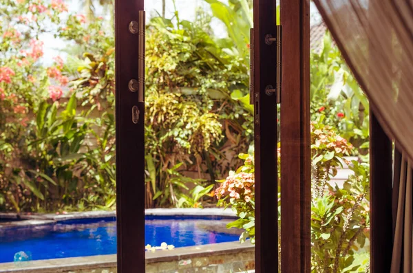 Маленький бассейн за окном в зеленом саду — стоковое фото