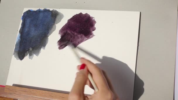 Dívka swatching fialová s oxyde černou akvarelem — Stock video