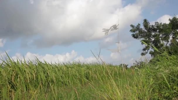 Spaventapasseri bianchi ondeggianti nel vento oltre il campo dei pidocchi — Video Stock