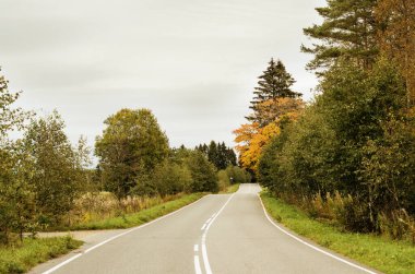 Sonbaharda kırsal yol boyunca güzel sonbahar ağaçları