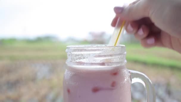 Close-up de chá de bolha rosa no campo de arroz verde — Vídeo de Stock