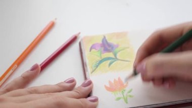 Kağıda hoş renkli kalem karalamaları. Sanat terapisi