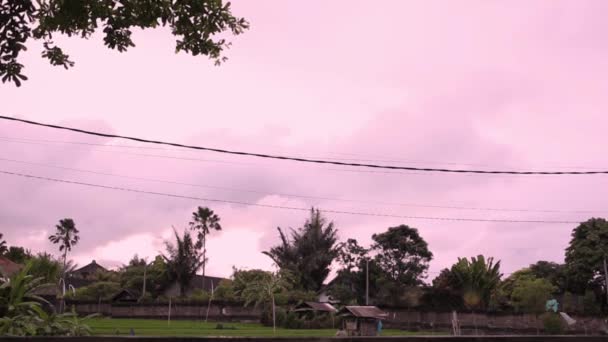 Roze tropische hemel met zwevende wolken timelapse — Stockvideo