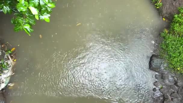 Bali tropiska regndroppar faller på flodens yta — Stockvideo