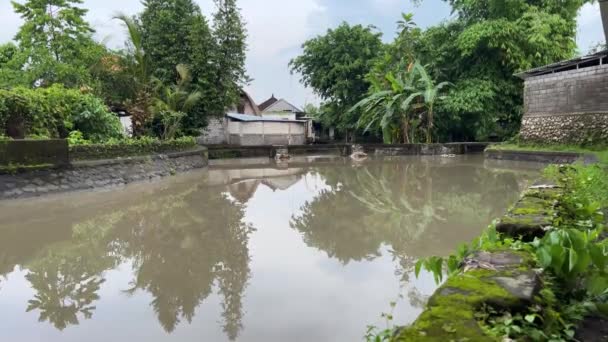 Bali Canggu river bridges view at local village — Stock Video