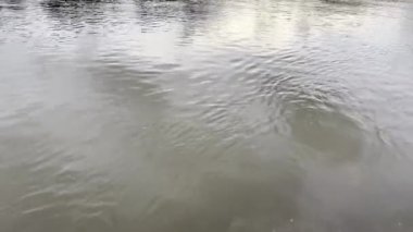 Nehir akışı dokusu. Su dalgaları ışığı yansıtıyor