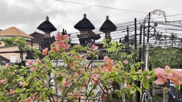 Bali adasının çiçek açan ağaçlarının üzerindeki Hindu tapınağı. — Stok video