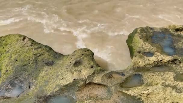 Agua marrón de un río con arrecife volcánico con musgo verde. — Vídeos de Stock