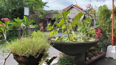 Bali, Endonezya - 20 Aralık 2021: Canggu 'da yoğun bir kavşakta zaman aşımına uğramış arabalar ve motosikletler