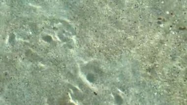 Beautiful background of clear water with sun dogs flowing in golden light. Transparent water upon a sandy stone surface
