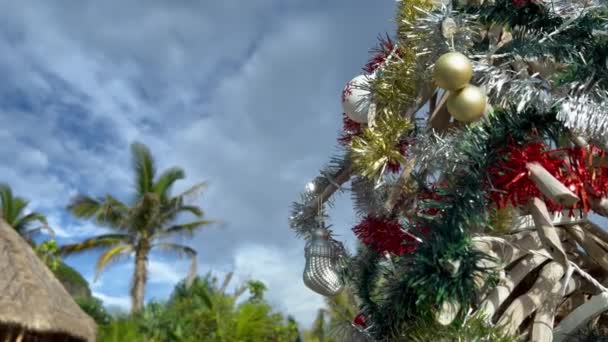 Trópusi karácsonyfa pálmafák és bungalók közelében a szabadban. Arany baubles egy fenyőfa ág alatt karácsonyi ünnepek trópusokon. Bali beach club itt: Melasti. — Stock videók