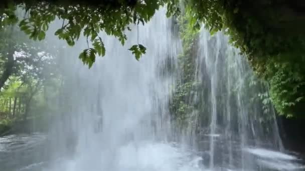 Bela cachoeira fluxo de água visto da caverna em um rio na selva tropical. Frescura de verão em cascata de rio. Viaje pela Indonésia e explore a ilha de Bali. Pontos turísticos da floresta tropical. — Vídeo de Stock