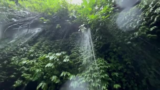 Красивый вид на дно водопада. Тропический водопад стекает вниз с зеленой скалы с кустами и деревьями. Блестящие солнечные собаки делают блеск и мягкий фокус над живописным природным ландшафтом. — стоковое видео