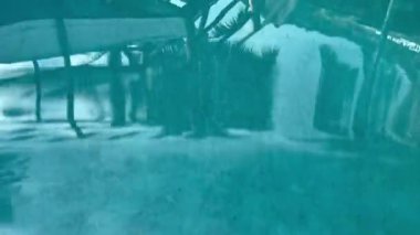 Palmiye ağaçları ve bungalovlar yüzme havuzunun mavi sularına yansır. Tasarım için tropik arkaplan.