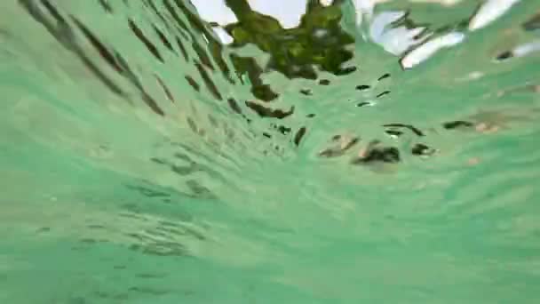 Une brindille d'algues sous l'eau verte de l'océan et un beau paysage déconcentré vu à la surface. Images de caméra en direct avec mise au point douce et grain de film. POV nager dans l'océan Indien au paradis tropical — Video
