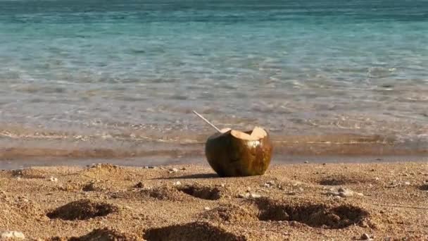 Вкусный кокосовый напиток с соломой на песке на тропическом пляже. Свежий прохладный кокосовый хвост на берегу океана. Дикое секретное место острова Бали. Освежение во время отдыха в раю. — стоковое видео