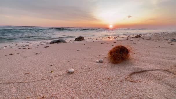 Hairy brown coconut on a white sand beach being washed away by tidal wave. Fabuloud tropical sunset scene. Ocean waves rolling on a wild white sand beach. — Stock Video