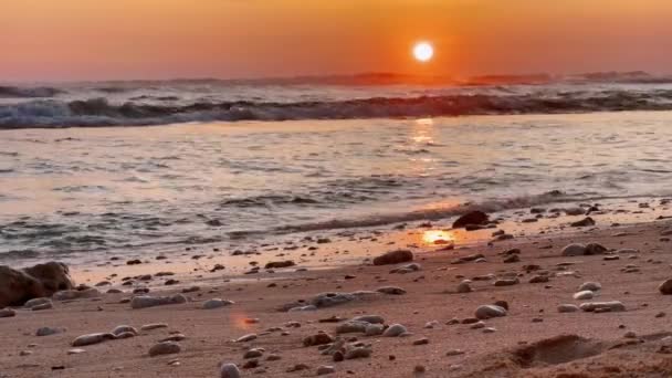 Bela praia tropical ao pôr do sol. Laranja sol e céu pendurado acima do oceano ondas de maré rolando na areia. Crepúsculo pacífico no paraíso. — Vídeo de Stock