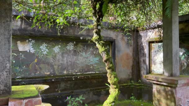 Μια τουρίστρια που τριγυρνά στο εγκαταλελειμμένο πάρκο του Βοτανικού Κήπου του Μπαλί φορώντας νεντική μάσκα. Κορίτσι που περιπλανιέται στο τροπικό πάρκο με τοιχογραφίες. Μπαλί τέχνη και πολιτισμός. — Αρχείο Βίντεο