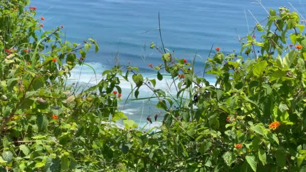 Голубые океанские волны с белой пеной за зелеными листьями и цветами. Место для серфинга в Парадайзе. Вид сверху на разбивающиеся морские волны. — стоковое видео