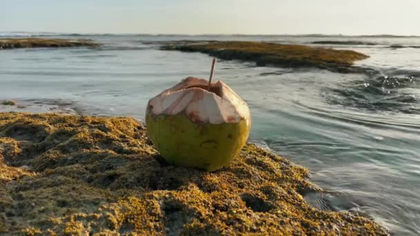 Целый кокос с соломой, стоящей на рифе, вырывающемся из океанской воды. Освежающий летний напиток в тропическом раю. — стоковое видео