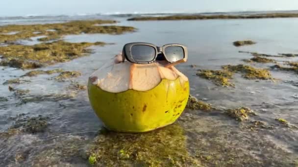 Brillante coco verde para beber con gafas de sol de moda en la parte superior de pie en el arrecife verde del océano con olas onduladas en la isla de Bali. — Vídeos de Stock