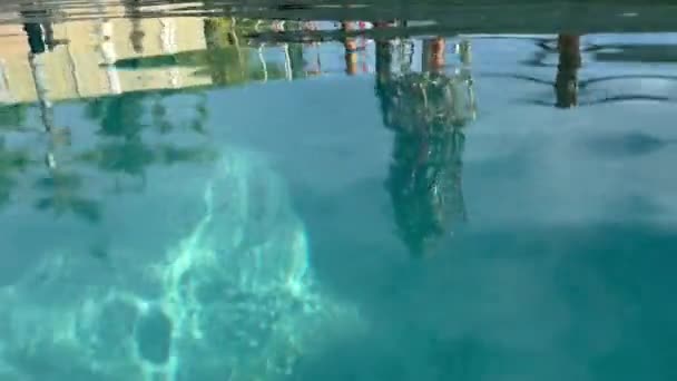 热带圣诞。在游泳馆边的棕榈树上，有装饰的生态圣诞树的不稳定的直播镜头。泳滩俱乐部新年装饰. — 图库视频影像