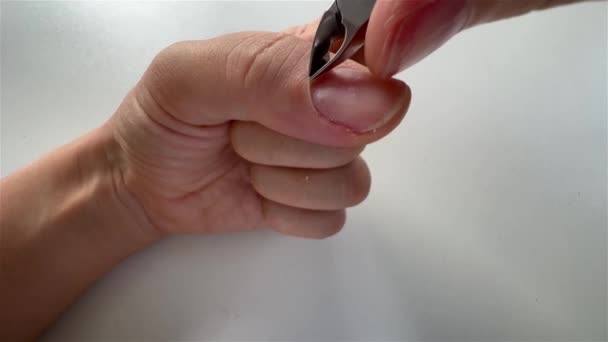 Vista POV de pinzas de cutícula cortando la cutícula vieja de la uña del dedo. Proceso de tratamiento de manicura en primer plano en fondo blanco. — Vídeo de stock