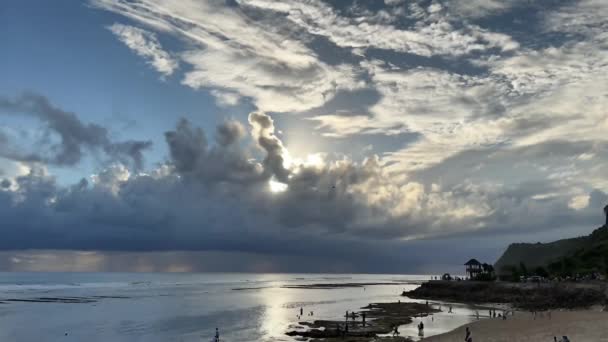 Над Океаническим Рифом Белым Песчаным Пляжем Камерам Движутся Красивые Серые — стоковое видео