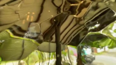 Masaları ve bahçeleri olan güzel bir kafe olan çarpık cam pencereli güzel soyut bir arka plan. Yaz tropikal atmosferi.