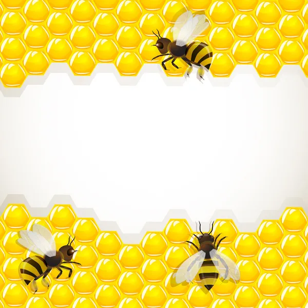 Закрыть обзор работающим пчелам на медовые клетки — стоковый вектор