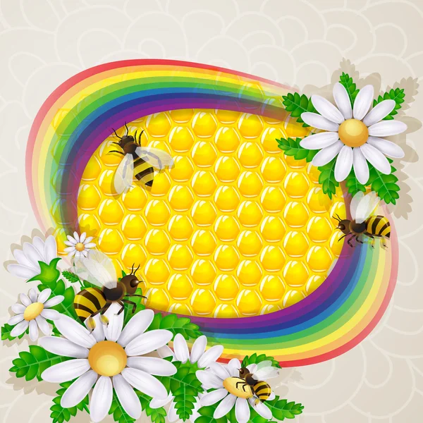 Daisy flower and bee over the honeycombs and rainbow background — Stock Vector