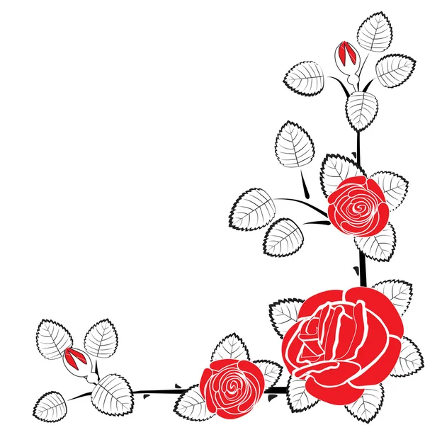 Drawn roses card — Stock Vector
