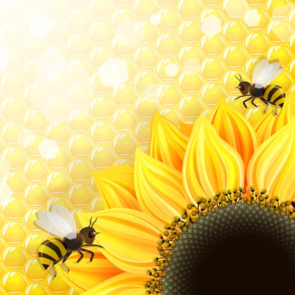 Tournesols et abeilles sur fond de nids d'abeilles — Image vectorielle